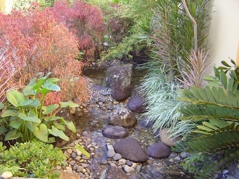 Pond and stream Brisbane